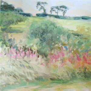 Sid Valley beyond the Willowherb