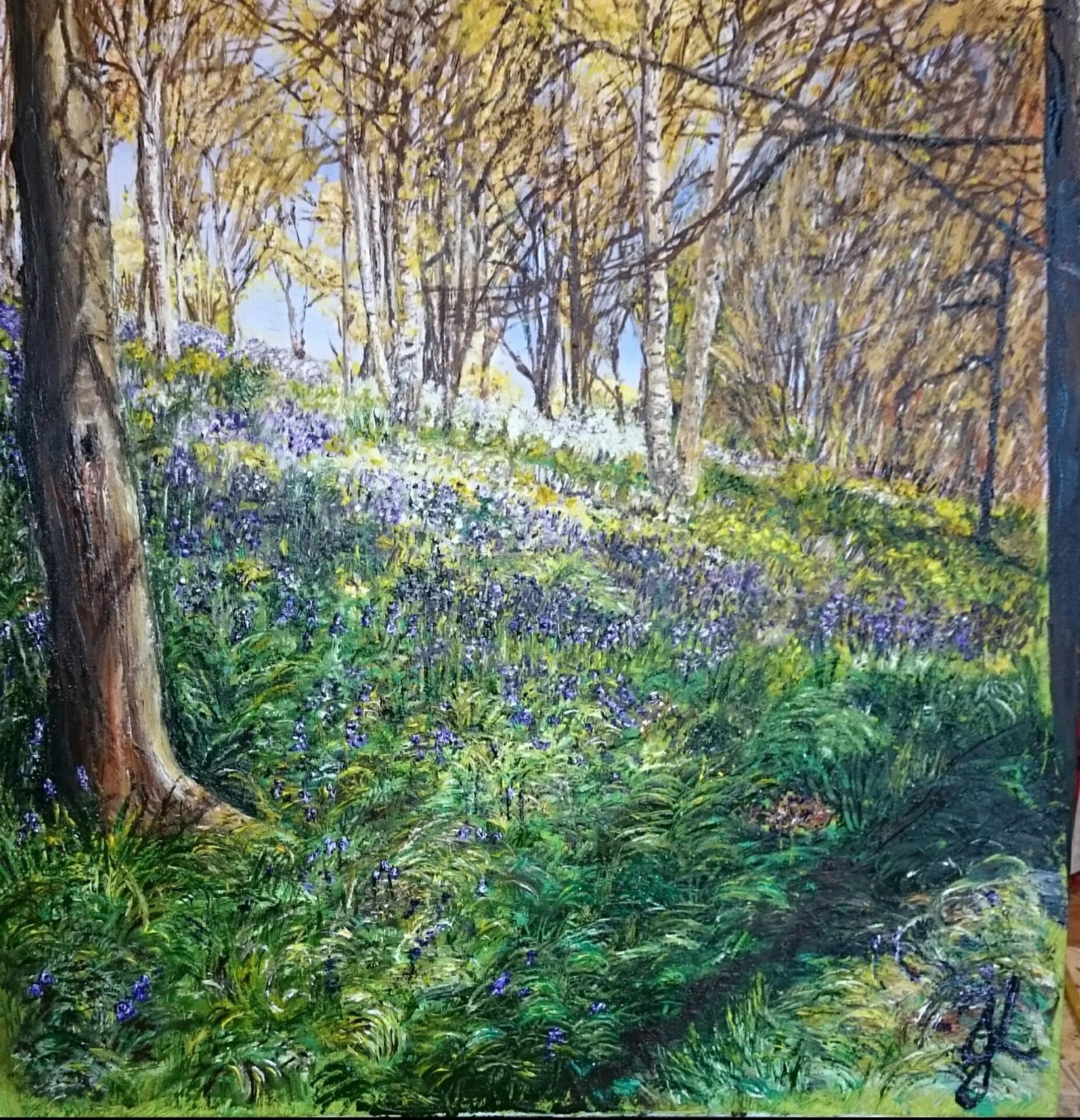 Kayson by Jenny Wood Kayson by Jenny Wood