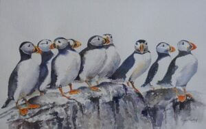 A puffin crowd!