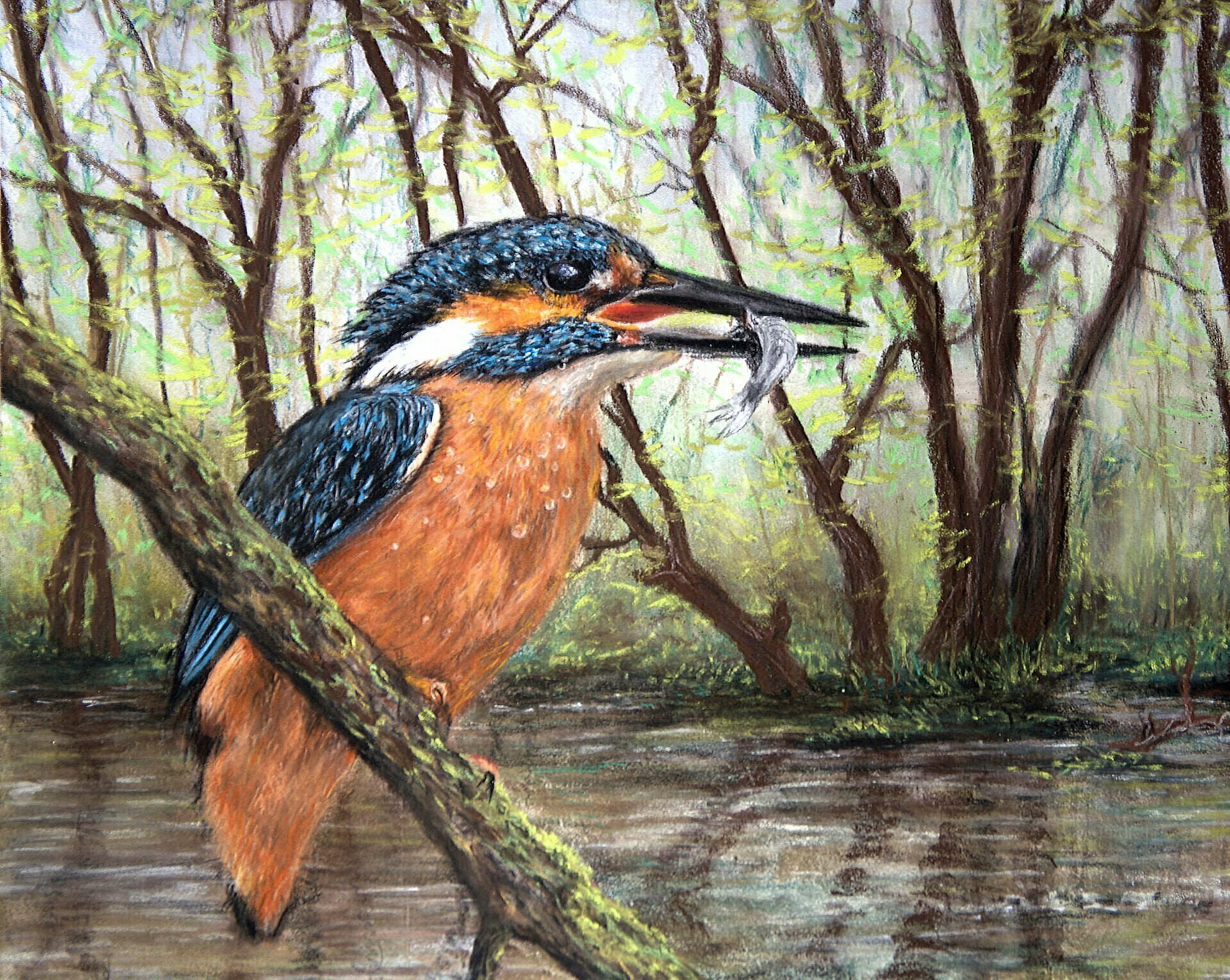 Soft pastel painting of a kingfisher with a fish in its beak