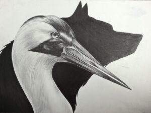 The Heron & The Wolf