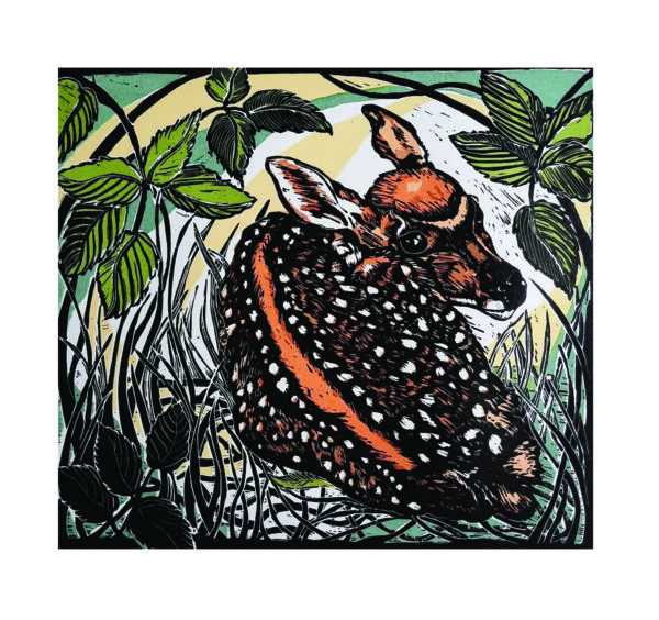 An image of an original lino print by Anita Saunders. It depicts a curled fawn amongst leaves and undergrowth. The fawn has its back to the viewer with its head looking over its back. A strong orangey brown line runs down its spine and white dots pepper its coat.