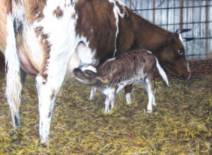 Motherhood
